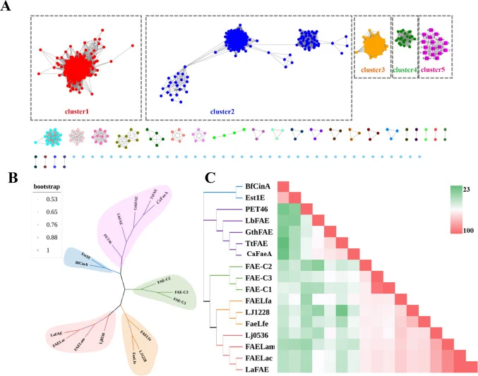 Sequence clustering and phylogenetic analysis of Ca FaeA. A Unsupervised sequence clustering of 1971 FAEs revealed five major clades, denoted as cluster 1 (red circles), cluster 2 (blue circles), cluster 3 (orange circles), cluster 4 (green circles), and cluster 5 (violet circles). The first neighbo