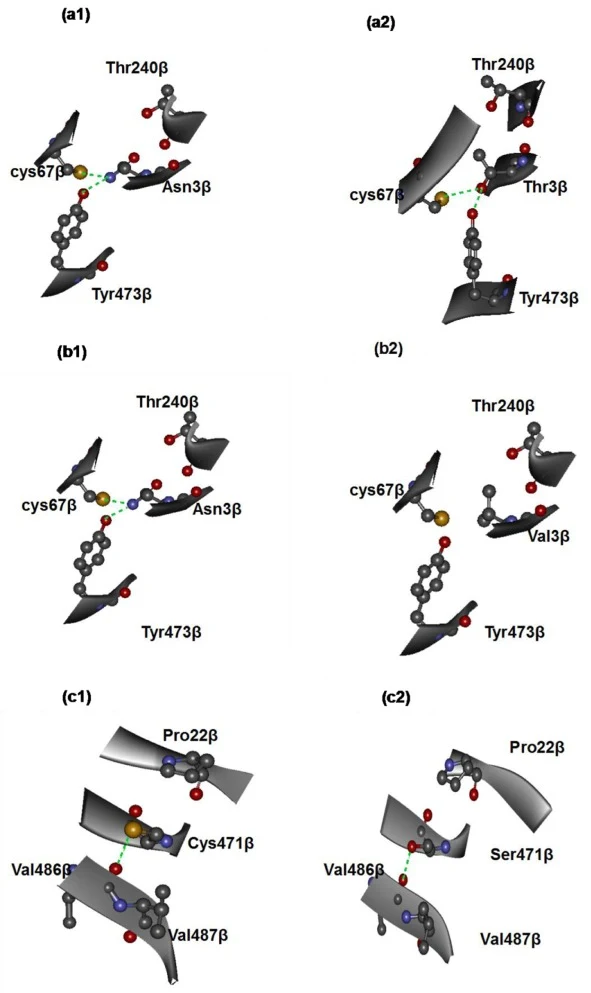Local geometries predicted by PRODA for mutants selected at hydrophobic core regions. (a1) Local geometry of β3 site in template; (a2) Local geometry of β3 site in M1. (b1) is the same as (a1); (b2) Local geometry of β3 site in M2. (c1) Local geometry of β471 site in template; (c2) Local geometry of