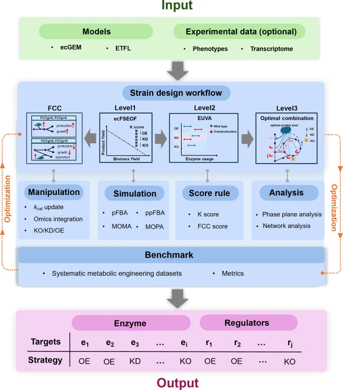 Architecture of the modular StrainOptimizer platform. Abbreviations: EUVA, enzyme usage variability analysis; ecFSEOF, enzyme-constrained flux scanning based on enforced objective flux; KO, gene knockout; OE, gene overexpression; KD, gene knockdown; FCC, flux control coefficient; pFBA, parsimonious