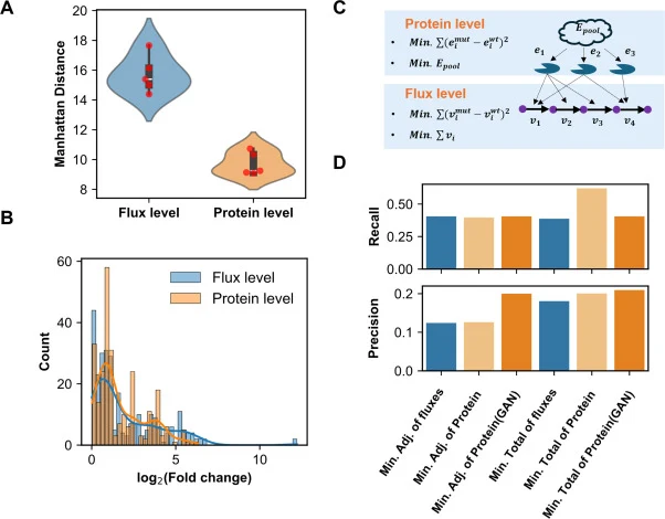 Protein-based simulation objectives improve the performance of strain design predictions. A. Comparison of Manhattan distances between growth and production at flux and protein levels across five different products. B. Distribution of log2 fold changes in protein usage and metabolic flux when compar