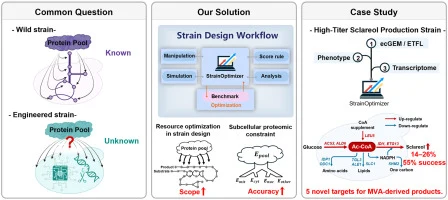 Resource-aware cell factory design through multi-scale metab