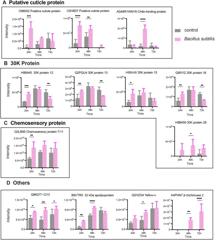 Upregulation of potential immune-related proteins post-infection with B. subtilis in B. mori. Proteomics data showed that three putative cuticle proteins (A), five 30K proteins (B), one chemosensory proteins (C) and four other proteins (D) were significantly upregulated after bacterial infection. ∗p