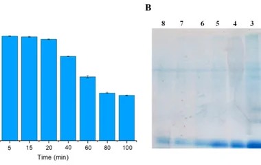 Serum protein profile of samples used in the RSM coagulation time study at 37 °C. ( A ) Protein concentration of superna