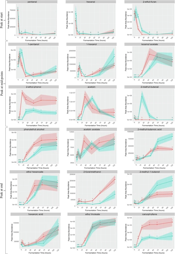Peak area line plots of mono-culture (blue) and co-culture (red) systems' volatile compounds over fermentation time, including standard deviation rendering. Significant differences between systems at the same timepoint with p < 0.05 are letter annotated. (For interpretation of the references to colo