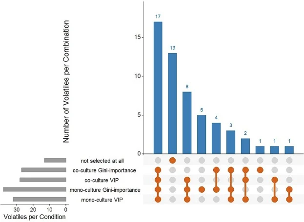 UpSet plot highlighting feature selection classification of volatiles for both mono-culture and co-culture systems. Conditions are listed and the horizontal bars indicate the total number of volatiles that fit that condition. The dots (orange) corresponding to the condition row indicate volatiles fa