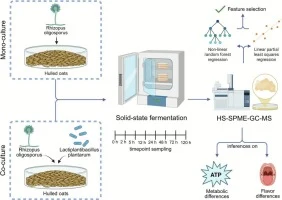 Volatile evolutions during solid-state fermentation of oats