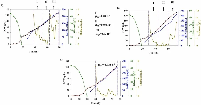 : Time courses representing cell concentration (Red Circles), consumption of glycerol (Green diamonds), consumption of methanol (Dark Yellow squares), and production of huIFNα2b (Blue triangles). A) Feedforward control (phase 1 μ SP = 0.04 h − 1 , phase 2 μ SP = 0.035 h − 1 , phase 3 μ SP = 0.03 h −