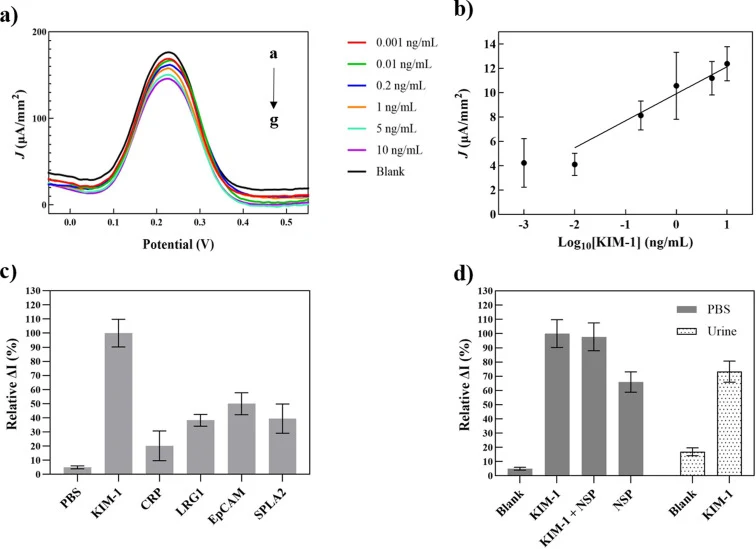 Electrochemical analysis for the performance of the developed KIM-1 biosensor. a) Square wave voltammetry response of MBP-CCT3-BP04 fabricated biosensor against different concentrations of KIM-1; a – g represents increasing concentration of KIM-1 from blank (PBS) to 10 ng/mL. b) Linear calibration c