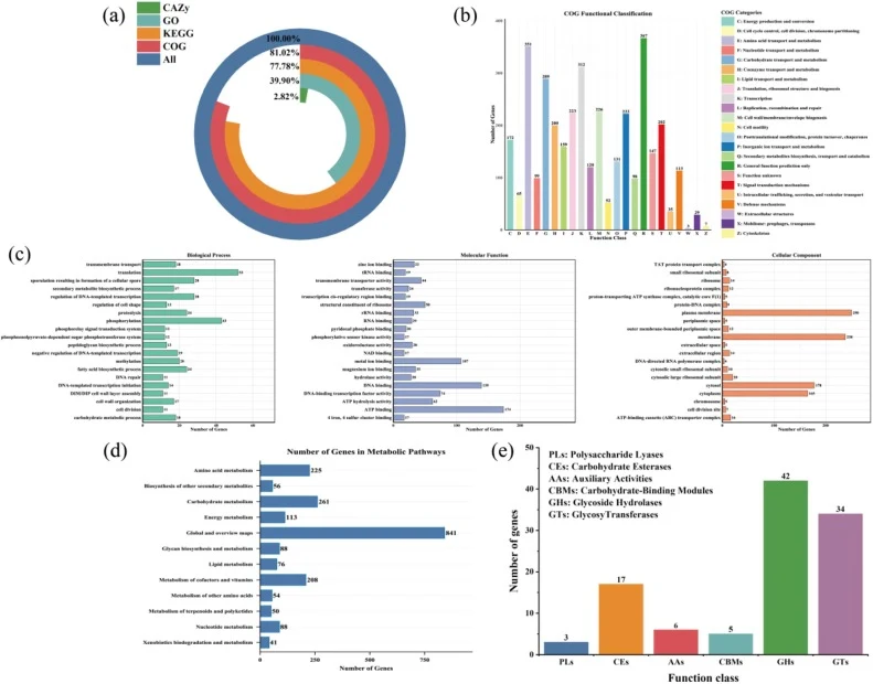 Genome annotation of B. subtilis DW-2. (a) A pie chart indicating the number of genes annotated to different databases; (b) COG classification of genes; (c) GO classification of genes; (d) KEGG secondary classification of genes; (e) CAZymes classification of genes.
