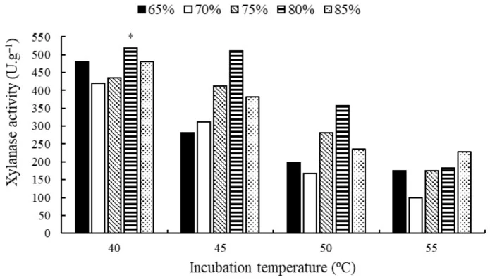 真菌异宗霉(*Myceliophthora heterothallica*)在以麦麸、甘蔗渣和甘蔗秸秆(1:1:1 w/w)组成的底物中产木聚糖酶,底物用无菌蒸馏水润湿,pH 5.0,培养4天,在不同湿度和真菌培养温度条件下进行。* 表示该处理在Scott–Knott检验中与其他处理相比存在统计学差异(<0.05)。