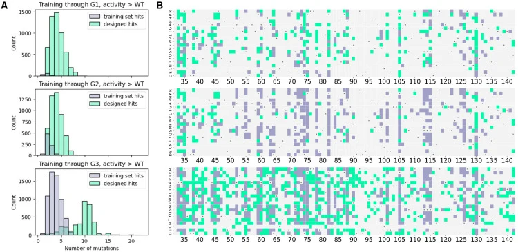 Model-designed functional variants are qualitatively different from the models' training data (A) Model-designed variants (green) were active at distances from the WT well beyond active variants seen in the training set (purple). (B) We visualize the distinct mutations present in the hits in the tra