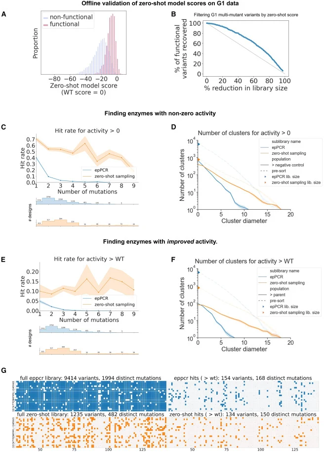 Without any experimental screening data, sampling from a zero-shot model of natural homologs is better than epPCR for providing an initial set of diverse hits that maintain and improve NucB function (A) We initially validated our zero-shot model by observing that sorting the epPCR library by model s