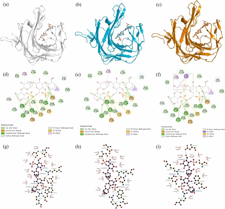 Molecular docking of κ-carrageenases with κ-neocarratetraose by AutoDock Vina 1.2.0. (a–c) Interaction analysis for the wild-type κ-carrageenase (WT) (a), K44C-A119C (b), and T120C-Q250C (c) with the κ-neocarratetraose. (d–f) Two-dimensional force analysis diagrams for WT (d), K44C-A119C (e), and T1