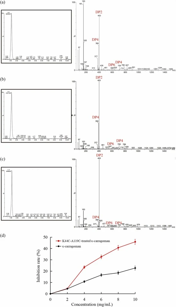 Liquid chromatography-mass spectrometry (LC-MS) analysis of κ-carrageenan hydrolysates and their tyrosinase inhibitory activity. (a) LC-MS analysis of hydrolysates by the wild-type κ-carrageenase (WT). (b) LC-MS analysis of hydrolysates by K44C-A119C. (c) LC-MS analysis of hydrolysates by T120C-Q250
