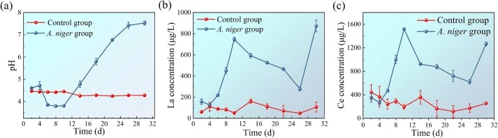 图1 生物浸出实验中pH值(a)、La浓度(b)和Ce浓度(c)的变化
