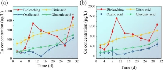 图1 浸出过程中生物法和有机酸法对La (a)和Ce (b)浓度的影响变化
