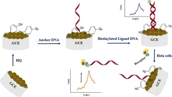 A label-free 2D MnO2 nanozyme-based tension-gauge tether bio