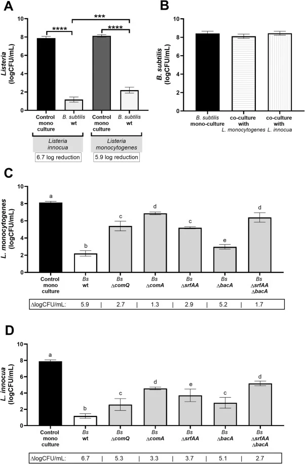 Growth of (A) L. innocua and L. monocytogenes in monoculture and coculture with B. subtilis PS-216 (Bs) wild-type (wt); (B) B. subtilis in monoculture and coculture with L. innocua and L. monocytogenes; (C) L. innocua in control monoculture and coculture with B. subtilis PS-216 wt and knockout mutan
