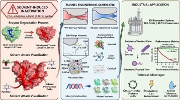 Unraveling the tunnel dynamics of enzymes: a rational design