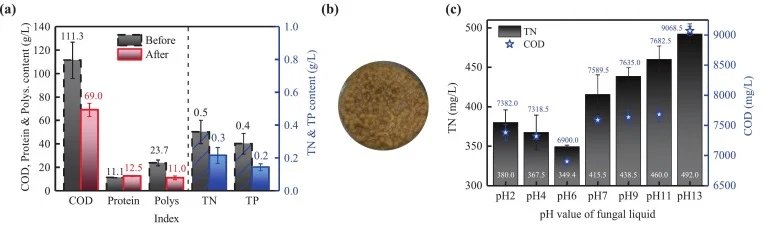 Analysis of the fungi culture: (a) chemical composition of food waste hydrolysate before and after fungi culture; (b) photograph of mycelial pellets cultured in the food waste hydrolysate; (c) the TN and COD contents of the fungal suspension after the acid/base treatment at different pH values (pH6