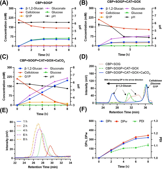 Proof-of-concept production of β-1,2-glucan from cellobiose by three strategies. (A) CBP and SOGP only; (B) CBP, SOGP, GOX, and CAT; (C) CBP, SOGP, GOX, and CAT with auto-pH neutralization by CaCO3; (D) Comparison of GPC chromatograms for samples obtained at 8 h under the above three different strat