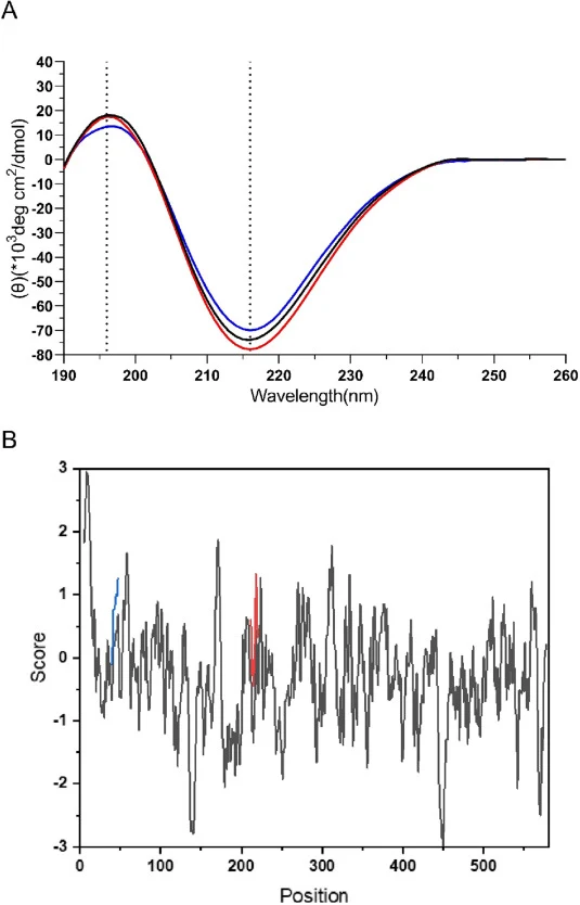 (A) The CD spectra of the WT and mutants. The position of the characteristic peaks (196 and 216 nm) of β-sheet was indicated by a dotted line. (B) Hydrophobicity analysis of the WT and mutants using online software ProtScale. The black line represents the WT, the blue line represents T43I, and the r