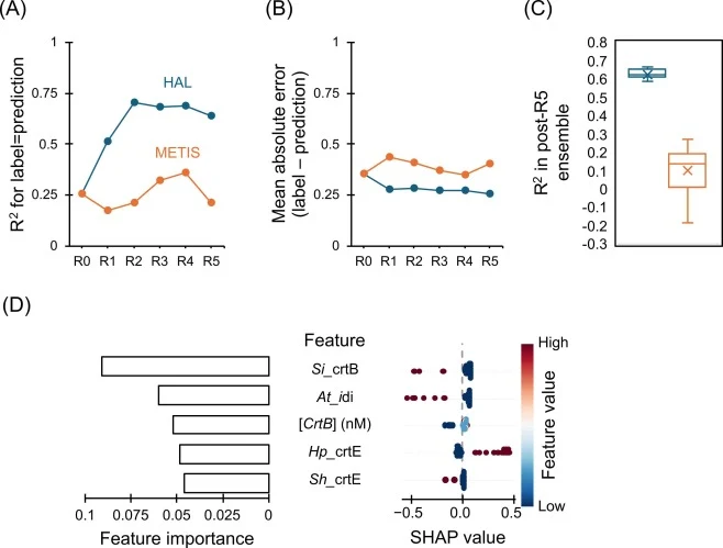 Hybrid active learning improves surrogate model performance on lycopene data. (A) Coefficient of determination (R squared; R²) between predicted and measured lycopene titers across active learning rounds (R0–R5) for the hybrid active learning (HAL) strategy and a METIS-based strategy. See Fig. S3 an