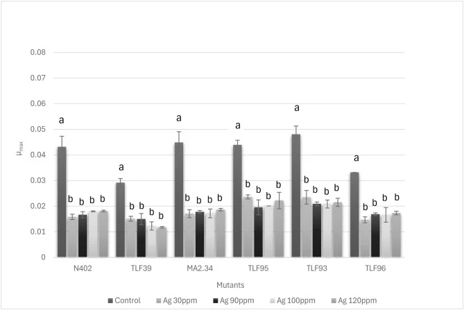 The μmax rate for the 5 mutants of Aspergillus niger at different concentrations.