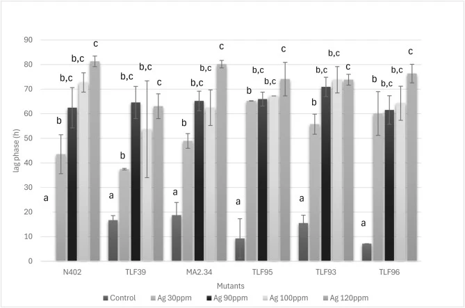Lag phase of 5 mutants Aspergillus niger at different concentrations.