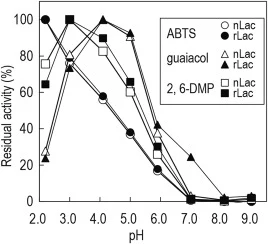 pH对天然T. versicolor漆酶(nLac)和重组T. versicolor漆酶(rLac)以ABTS、2,6-二甲氧基苯酚(2,6-DMP)和愈创木酚为底物的活性的影响。活性表示为三次独立实验的平均值。