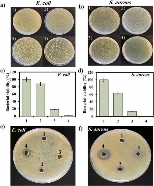 In vitro antibacterial performance of GOx-mcNFs. Plate counting assay: (a, b) the grown colonies and (c, d) the correlating statistical bacterial viabilities of E. coli and S. aureus after incubating with 1) PBS, 2) BSA-mcNFs, 3) Free GOx + BSA-mcNFs, and 4) GOx-mcNFs. Agar well diffusion method: an