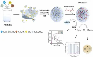 Synthesis and characterization of glucose oxidase bimetallic