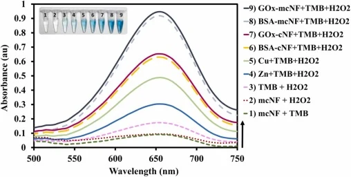Peroxidase-like properties of the nanoflowers. UV–Visible absorbance spectra of (1) the solution of GOx-mcNFs and TMB, (2) the solution of GOx-mcNFs and H2O2, (3) the solution of TMB and H2O2, (4) TMB, H2O2, and Zn2+ metal ions, (5) TMB, H2O2, and Cu2+ metal ions, (6) TMB, H2O2, and cross-linked BSA