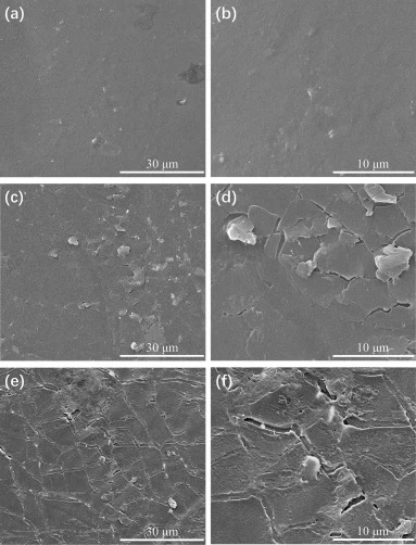 去除生物膜后PEX-C(a,b)、PEX-G(c,d)和PEX-S(e,f)表面的SEM图像。(a,c,e):4000×;(b,d,f):8000×。