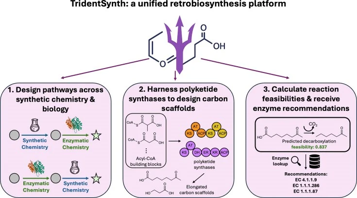 TridentSynth: a webtool for the retrosynthesis of molecules 