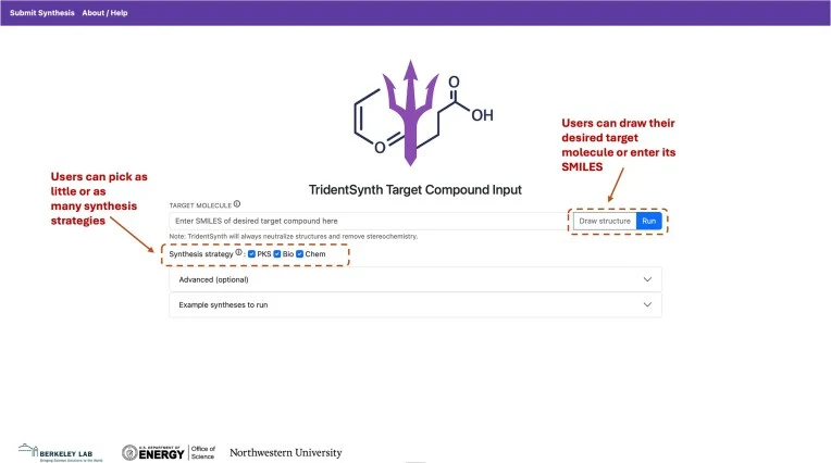 TridentSynth网页服务器 landing page 及目标提交界面。TridentSynth网页界面允许用户以SMILES字符串或通过交互式结构编辑器提交目标分子。用户可选择一种或多种合成策略:基于PKS的生物合成或非PKS酶促合成,和/或合成化学。高级选项和示例目标也可帮助用户确定想要使用的PKS酰基辅酶A底物类型和/或化学酶法后修饰反应的数量。