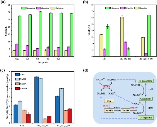 Effect of targeted regulation of NAD + biosynthesis on D-tagatose synthesis. (a) D-tagatose synthesis under regulation of NAD+ levels by nicotinic acid; (b) Comparison of D-tagatose yields after enhancing NAD+ synthesis via the Preiss-Handler pathway; (c) Comparison of coenzyme levels after enhancin