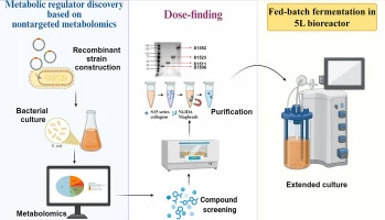 Metabolic regulator discovery and application in Escherichia