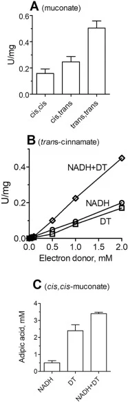 Enoate reductase activity of purified ERBC with different muconic acid isomers and electron donors. (A), reduction of different muconic acid isomers by ERBC with NADH as an electron donor. (B), reduction of trans-cinnamic acid to hydrocinnamic acid with NADH and/or dithionite (DT) as electron donors