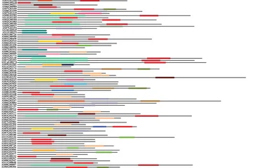 Conserved structural domains of bHLH proteins in A. sinensis .