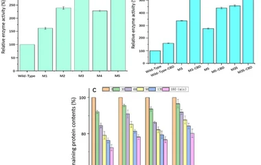 Enzyme activity analysis of wild type and exochitinase mutants. A denotes the comparative relative activity of wild-type