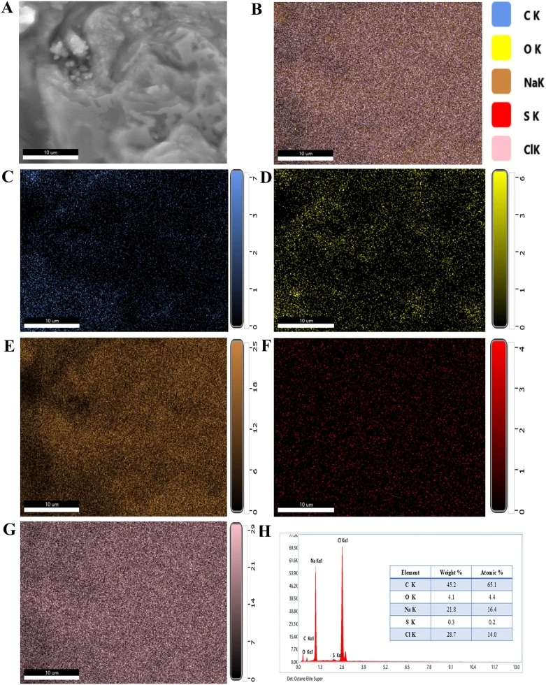 FESEM-EDAX analysis of extracted PHB from G. amicalis NSPS90. (A) FESEM micrograph, (B) EDAX spectrum of obtained PHB showing the homogenous dispersal of elements, (C) Carbon elemental mapping, (D) Oxygen elemental mapping, (E) Sodium elemental mapping, (F) Sulfur elemental mapping, (G) Chlorine ele