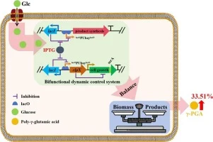 Development of a bifunctional dynamic control system for eff