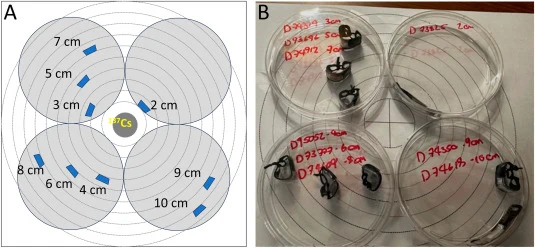 (A) Schematic diagram and (B) photograph of the experimental layout of thermoluminescent dosimeters (TLDs) in Petri plates and 137Cs source used to characterize the gamma dose rate experienced by fungi.