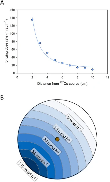 (A) Ionizing dose rate (mrad h−1) as measured by thermoluminescent dosimeters (TLDs) placed at varying distances from the 137Cs source. The data displayed an inverse square relationship, y = 10.3 + 520.8 d−2 (adjusted R2 = 0.978; P < 0.001). (B) Graphical representation of the dose rate gradient exp