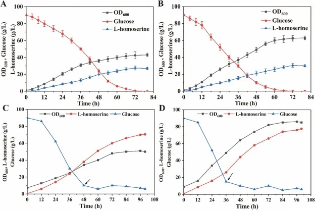 Shaker flasks fermentation and fed-batch fermentation of R240I/pXTuf-Cgl2344. Growth, residual glucose, and l-homoserine production curves of the strain R240I/pXTuf-Cgl2344 fermentation. (A) In shake flasks. (B) In shake flasks, when adding 0.5 g/L l-threonine and l-isoleucine. (C) In a 15 L ferment