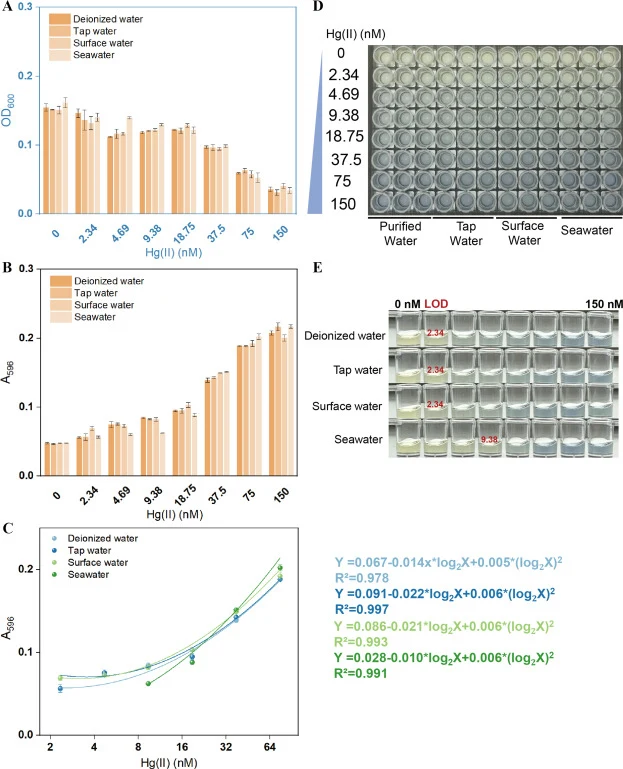 Validation of mercury sensing in environmental water matrices. (A) Bacterial density of TOP10/pCon-IND-C exposed to increasing Hg(II) concentrations in different water matrices. (B) Pigment signals from TOP10/pCon-IND-C in response to increasing Hg(II) concentrations in different water matrices. (C)