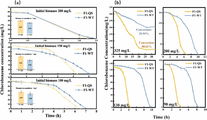 Performance of F1-QS and F1-WT under different initial biomass and CB concentration conditions. (a) CB degradation and biomass accumulation of F1‑QS and F1‑WT at different initial biomass levels;(b) Degradation performance of F1-QS and F1-WT at different initial chlorobenzene concentrations.