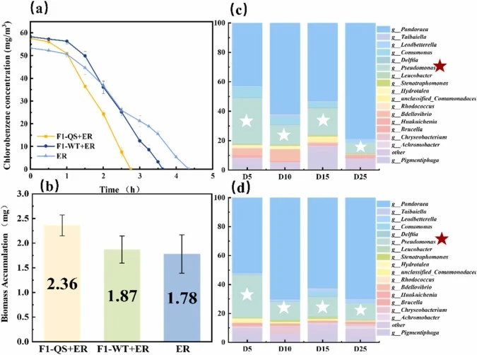 CB degradation performance and community composition of the consortium systems. (a) CB degradation performance of the three systems;(b) Biomass accumulation of the three systems;(c) Relative abundance of F1-WT (segments with star) in the F1-WT+ER system at different stages;(d) Relative abundance of