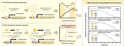 Decoupling Biodegradation from Substrate Concentration via Q